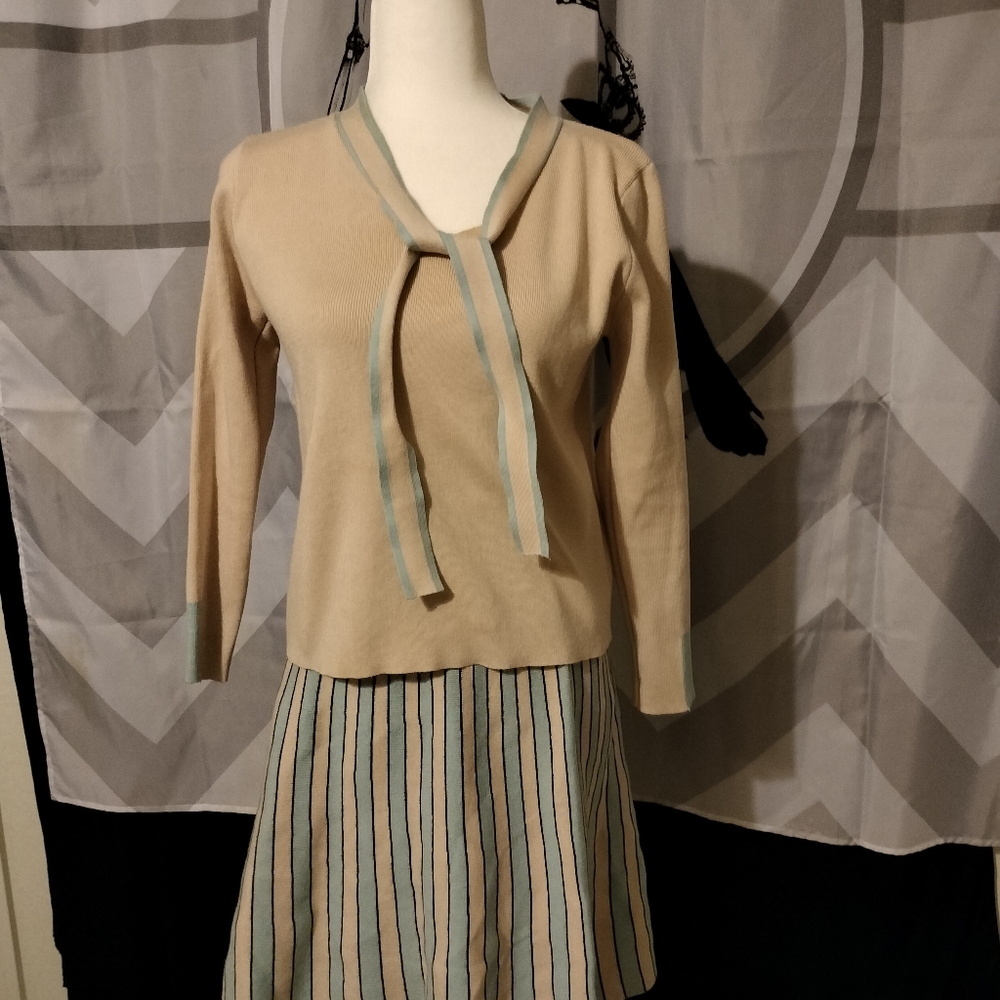CLOSET CLEAN OUT Knit skirt set